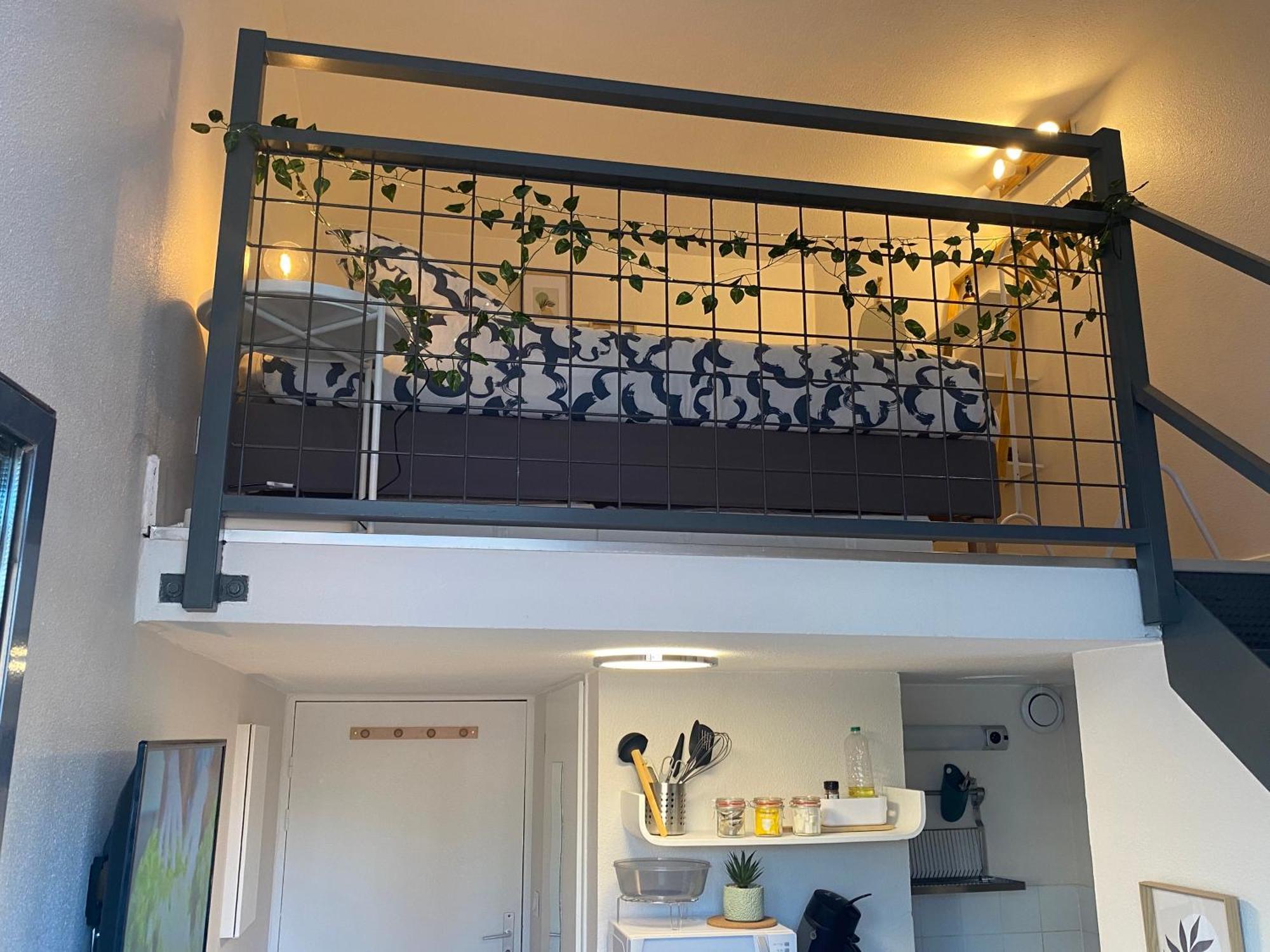 Lespinet - Duplex Avec Parking Toulouse